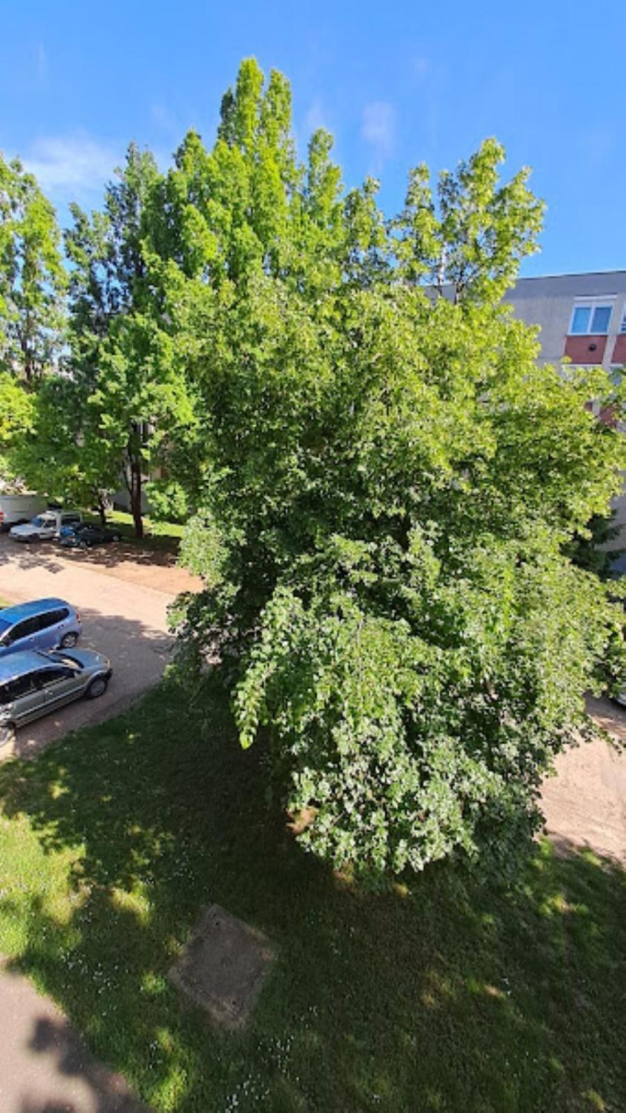 Szilfak City Apartman Hajdúszoboszló Eksteriør billede